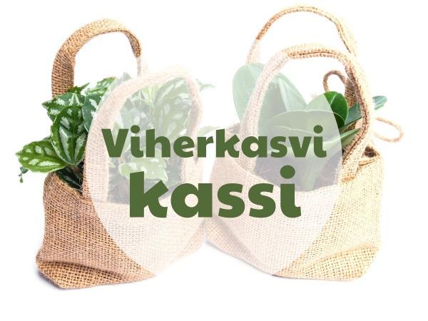 Viherkasvikassi